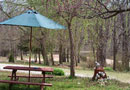 Riverside Resort and Canoe Rental
