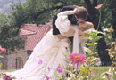 The Imagery - Susan Storch Photographer