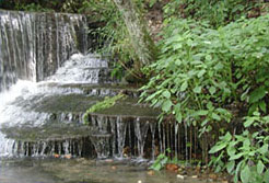 Outdoor Recreation, Eureka Springs, AR